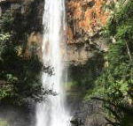 Purling Brook Falls Gwongorella - Kawana Tourism