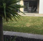 Ella House Adelaide - Kawana Tourism