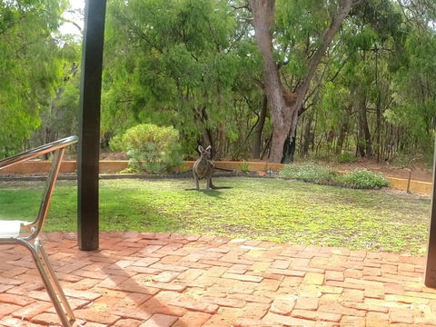 Yallingup Pet Friendly Bush Retreat - Kawana Tourism 5
