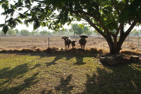 Berry Creek Bush Retreat - Kawana Tourism 4