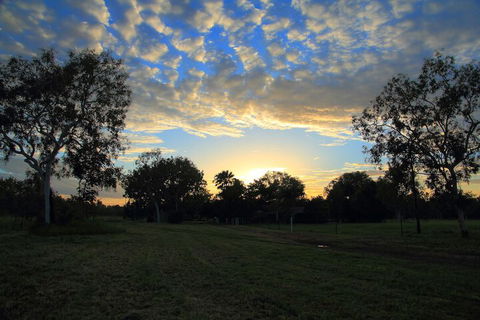 Berry Creek Bush Retreat - Kawana Tourism 5