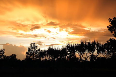 Berry Creek Bush Retreat - Kawana Tourism 3