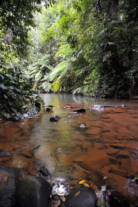 Mena Creek Flower House - Kawana Tourism 2