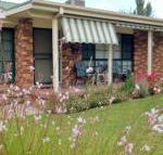 Butterfly Cottage - Kawana Tourism