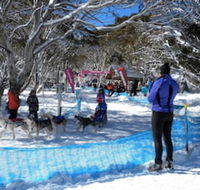 Cloud 9 Alpine Lodge - Kawana Tourism