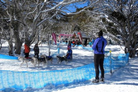 Cloud 9 Alpine Lodge - Kawana Tourism 0