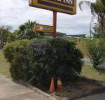 Golden West Motor Inn - Kawana Tourism