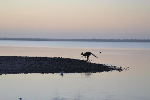 The Abbey Raymond Island - Kawana Tourism 6