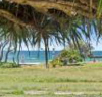 Pandanus on Emerald - Kawana Tourism