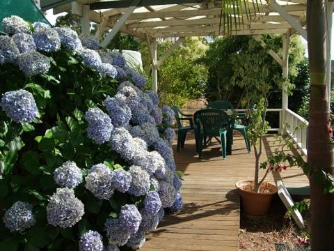 Nannup Riverview Cottage - Kawana Tourism 3