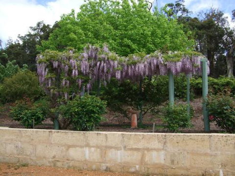 Nannup Riverview Cottage - Kawana Tourism 5