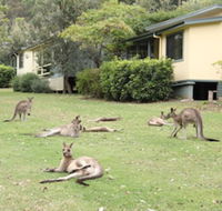Depot Beach Cabins - Kawana Tourism
