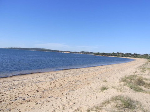 Black Dolphin Beach Penthouse - Kawana Tourism 5