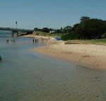 Black Dolphin Waterfront Apartment - Kawana Tourism