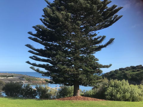 Penneshaw Oceanview Apartments - Kawana Tourism 5