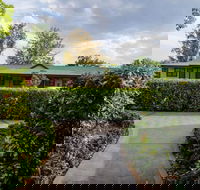 The Grapevine Motel - Kawana Tourism