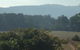 Oaktree Guest House - thumb 6