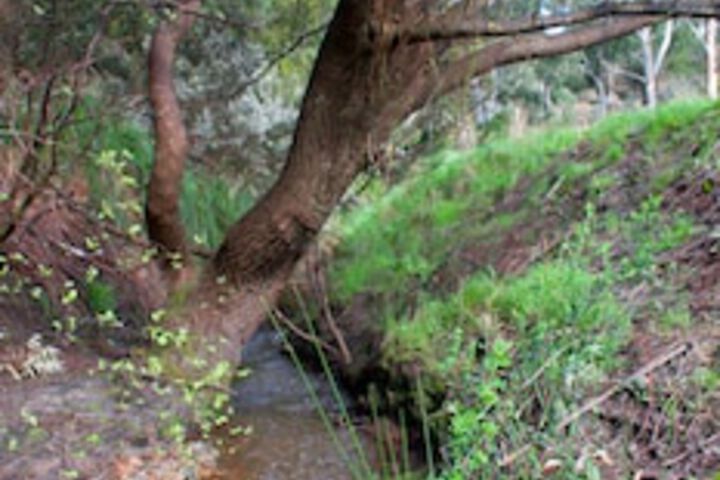 Mylor SA Kawana Tourism