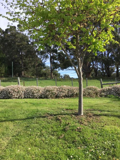 Nextdooratportarthur - Kawana Tourism 3