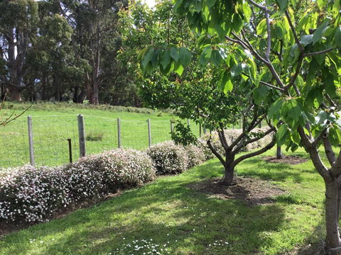 Nextdooratportarthur - Kawana Tourism 1
