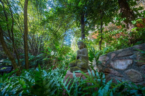 The Tree House. Treetop Living Near The Ocean Coolum Beach QLD Australia - Kawana Tourism 2