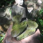 The Tree House. Treetop Living Near The Ocean Coolum Beach QLD Australia - Kawana Tourism 0