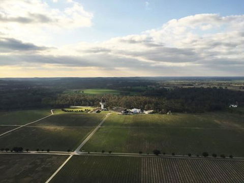 The Mitchelton Hotel Nagambie - MGallery By Sofitel - Kawana Tourism 6