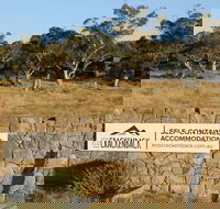 Ecocrackenback 4 'Sustainable chalet close to the slopes - Kawana Tourism