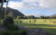Bushland - thumb 1