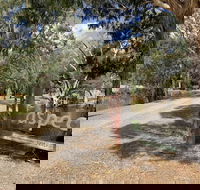 Bushland - Kawana Tourism