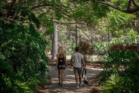 Charlesworth Bay Beach Resort - Kawana Tourism 2