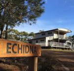 Echidna on Bruny - Kawana Tourism