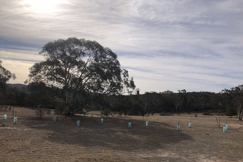 The Saddle Camp Tiny House Braidwood - Kawana Tourism 2