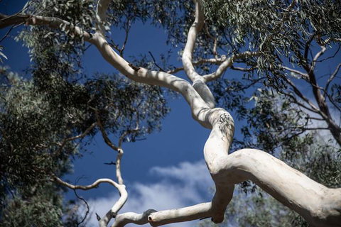 The Saddle Camp Tiny House Braidwood - Kawana Tourism 6