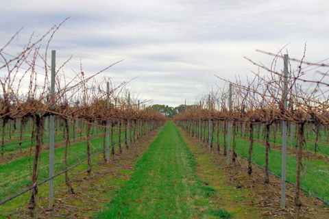 Yalumba Menzies Retreat - Kawana Tourism 5