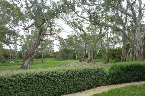 Yalumba Menzies Retreat - Kawana Tourism 2