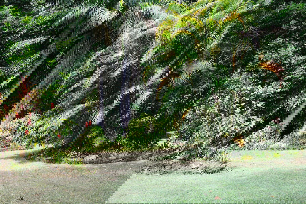 The Pocket NSW Kawana Tourism