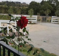 Silverbirch Cottage Loch - Kawana Tourism