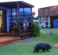 BIG4 Kelso Sands Holiday Park - Kawana Tourism