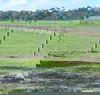 Yea Woodduck Cottage - Kawana Tourism