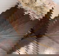 Historic 1890s House With Terraced Backyard Deck H346 - Kawana Tourism