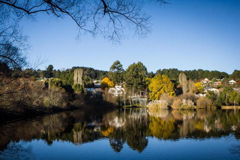 Chestnut Daylesford - Kawana Tourism 6