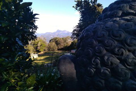 Ruah Rain Forest Retreat - Kawana Tourism 0