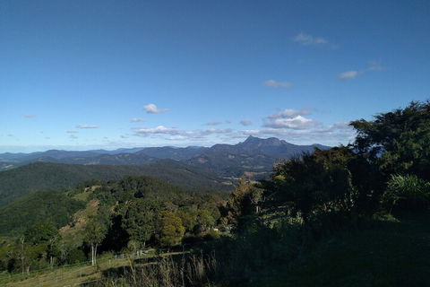 Ruah Rain Forest Retreat - Kawana Tourism 6