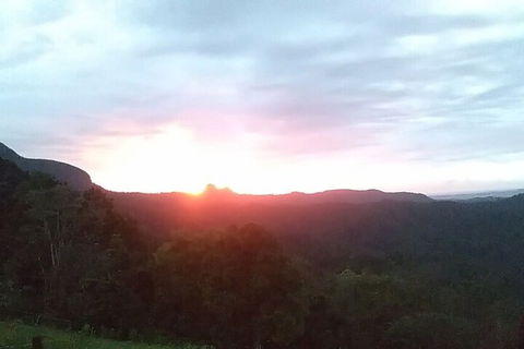 Ruah Rain Forest Retreat - Kawana Tourism 4