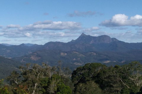 Ruah Rain Forest Retreat - Kawana Tourism 2