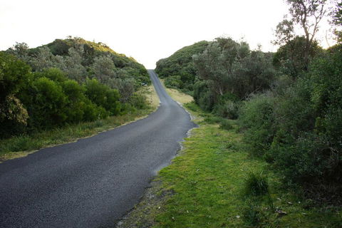 Venus Escapes Guesthouse - Kawana Tourism 2