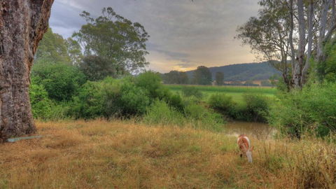 Buffalo River Homestead - Kawana Tourism 3