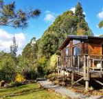 Southern Forest Accommodation - Kawana Tourism