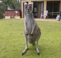 Yelverton Brook Conservation Sanctuary - Kawana Tourism